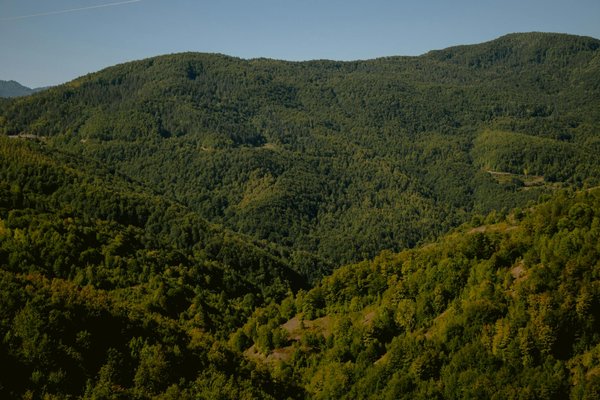Maximisez l'efficacité de votre restaurant avec une caisse tactile