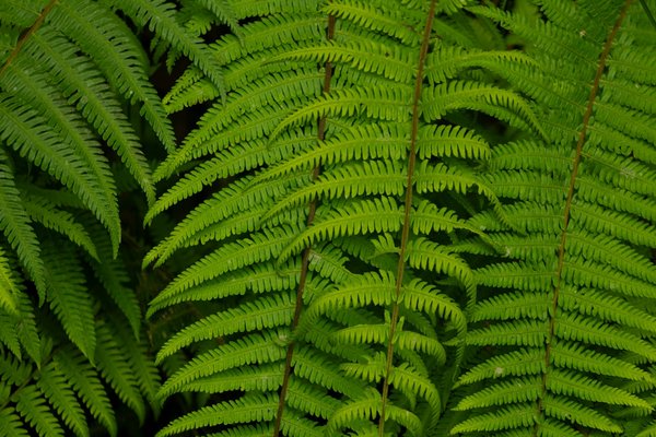 Attention aux anachronismes : la difficile authenticité des romans historiques