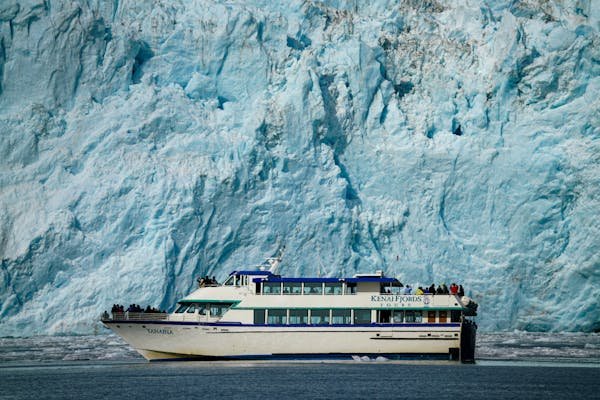 Évasion polaire : croisières uniques en antarctique à découvrir